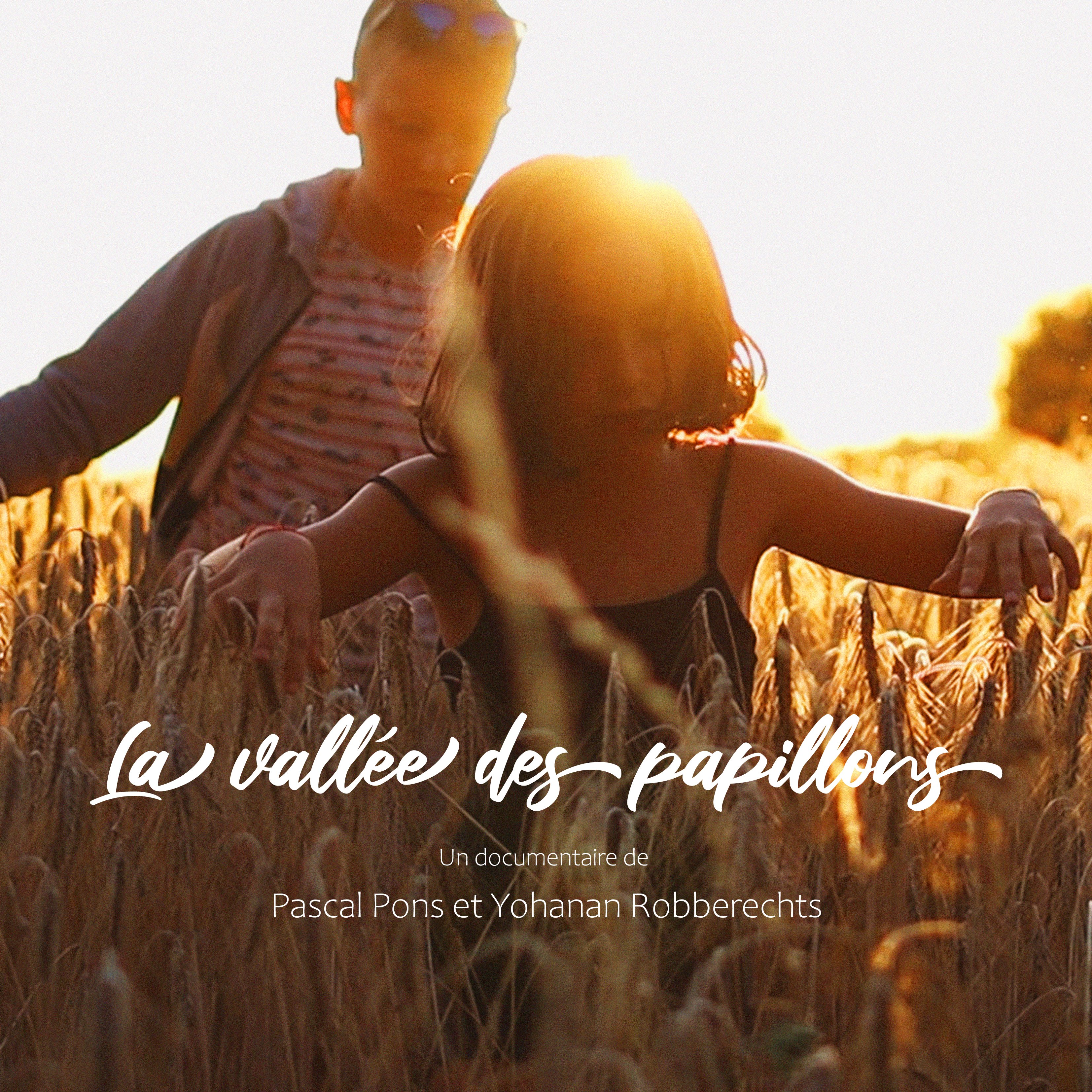 LA VALLÉE DES PAPILLONS de Pascal Pons et Yohanan Robberechts